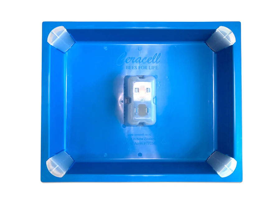 Ceracell 10 Frame | Top Feeder | No Rim