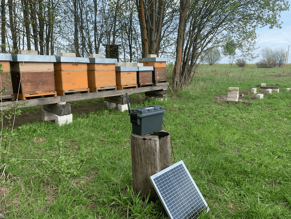 The Bee Army Control Unit with Solar Power and Battery - Wifi Only