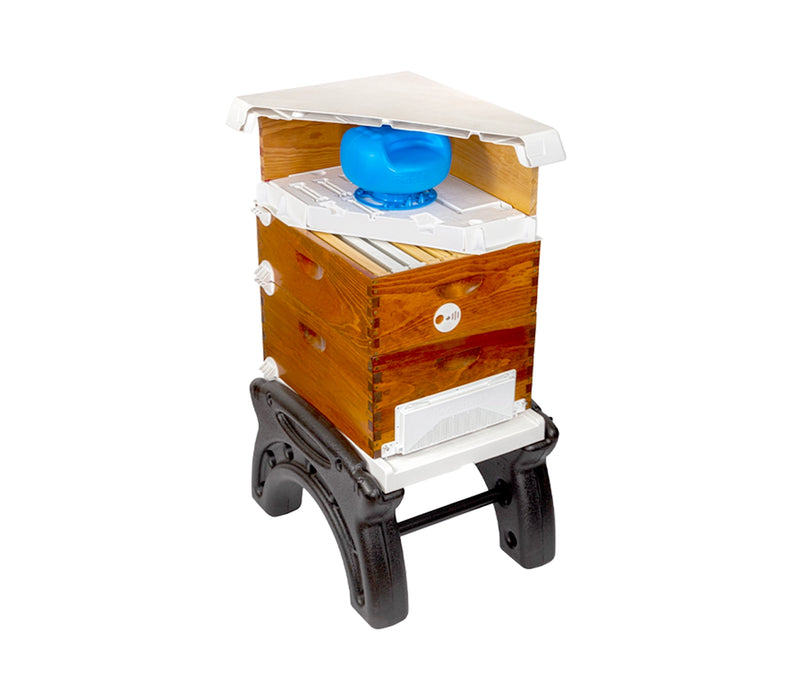 Local Machine Hive Ultimate Quad Hive System | Hidden Hollow Honey